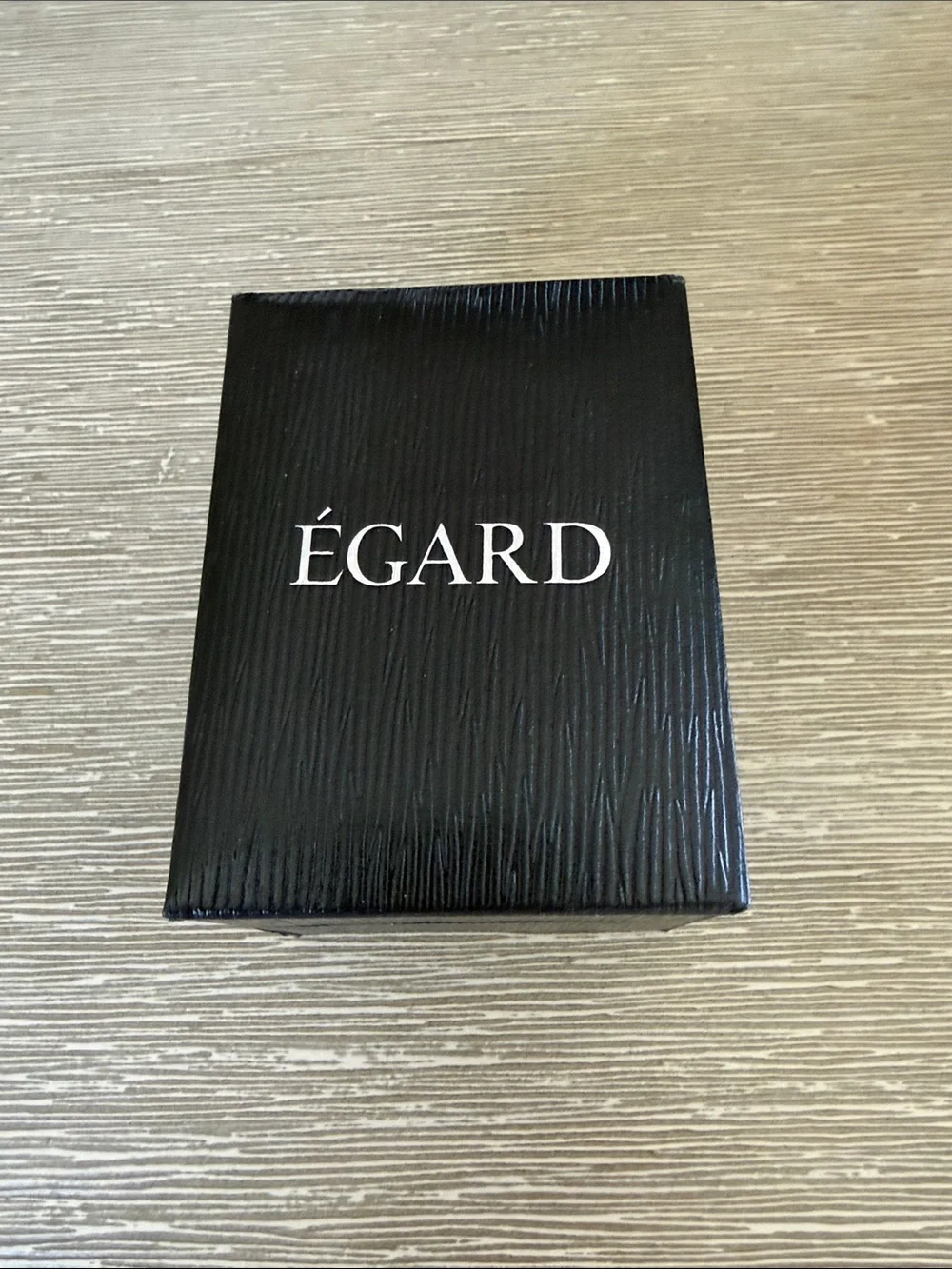 Égard Silver Stainless Steel Women's Watch with Black Dial